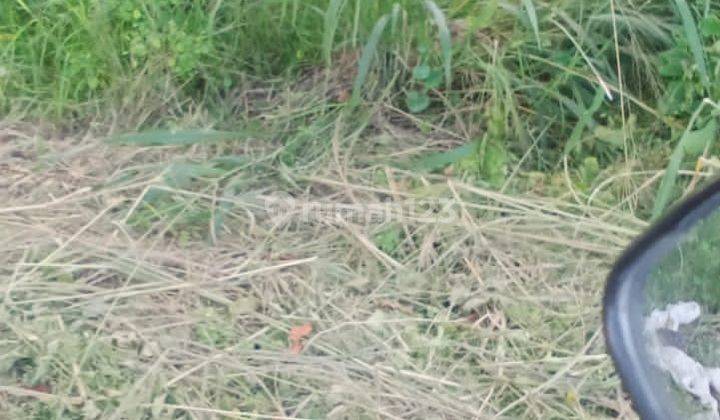 TANAH DIJUAL CEPAT DIBAWAH HARGA 3
