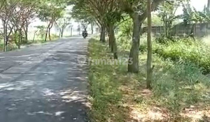 TANAH ZONA INDUSTRI DI KECAMATAN KEMIRI KABUPATEN TANGERANG DIJUAL MURAH 1