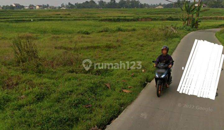 Dijual Tanah Zona Perumahan Di Kecamatan Cisoka, Kabupaten Tangerang, Propinsi Banten 1