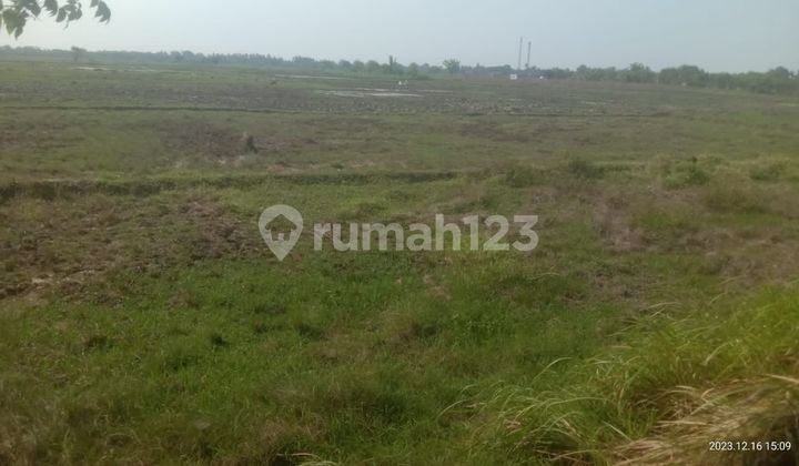 TANAH UNTUK PERUMAHAN DIJUAL MURAH AREA KECAMATAN KEMIRI KABUPATEN TANGERANG 2