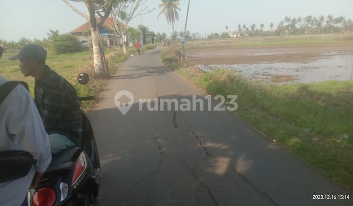 TANAH UNTUK PERUMAHAN DIJUAL MURAH AREA KECAMATAN KEMIRI KABUPATEN TANGERANG 1