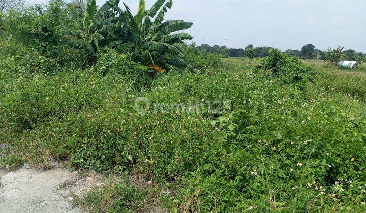 TANAH KAVLING INDUSTRI DIJUAL DI AREA KRAGILAN CIUJUNG SERANG BANTEN 2