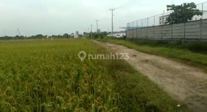 TANAH INDUSTRI AREA CIUJUNG KECAMATAN KRAGILAN KABUPATEN SERANG DIJUAL MURAH 1