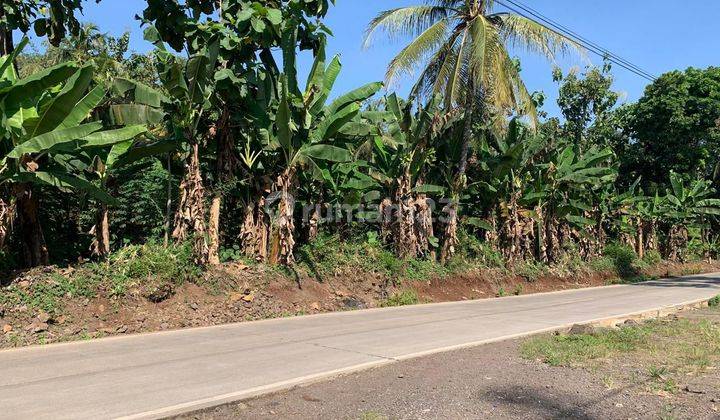 TANAH KOMERCIA DIJUAL AREA KECAMATAN CILAKU KABUPATEN CIANJUR PROVINSI JAWA BARAT 2