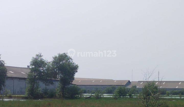 Dujual Tanah Zona Industri Area Kelurahan Dadap, Kecamatan Kosambi, Kabupaten Tangerang, Propinsi Banten 2