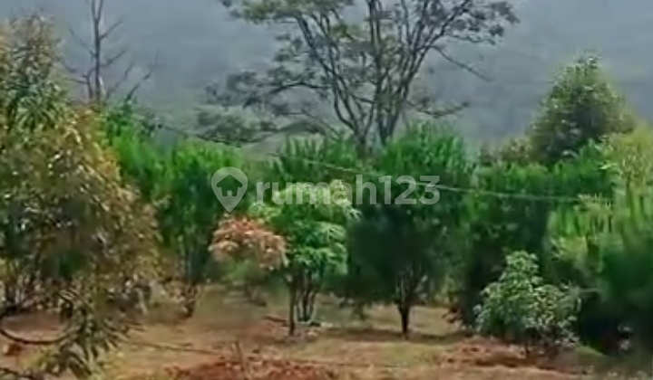 Garden Land for Sale in Cijambe District, Subang Regency, West Java