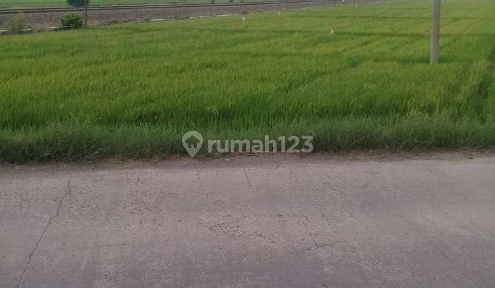 Dijual Tanah Zona Industri Di Desa Pelutan, Kecamatan Pemalang, Kotapemalang, Propinsi Jawa Tengah 1