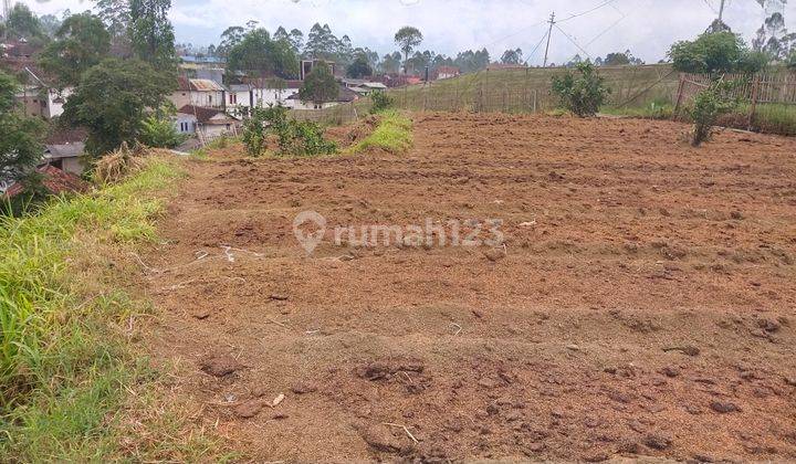 Tanah Murah Tiga Ratus Ribuan di Pangalengan 2