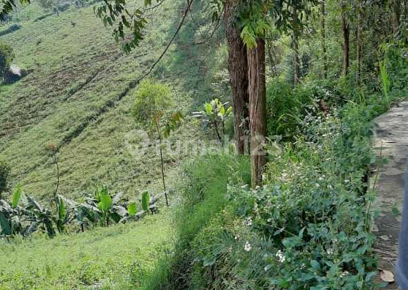 Tanah Murah View Lembah Dekat Dago Cartil