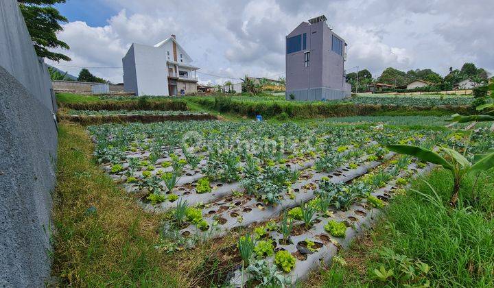 Jual Tanah untuk Villa, rumah pensiun, hidden gem 3
