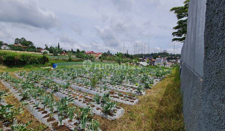 Jual Tanah untuk Villa, rumah pensiun, hidden gem 4