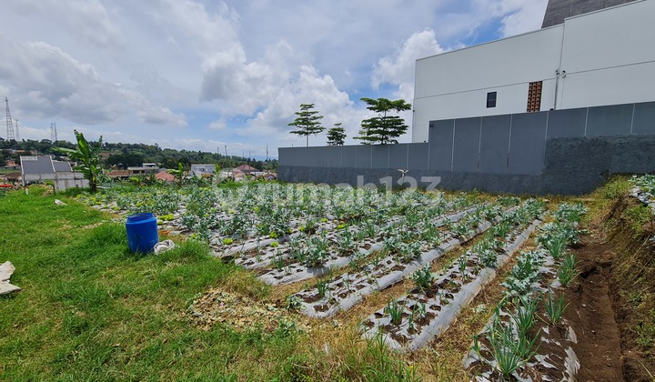 Jual Tanah untuk Villa, rumah pensiun, hidden gem 5