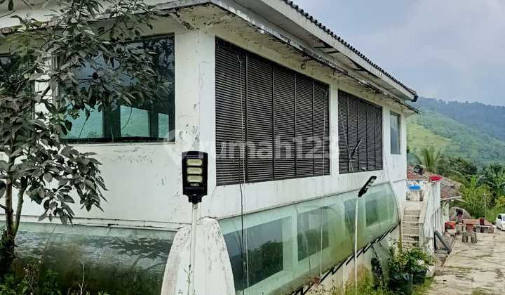 For Sale Land and Building Puncak Pass Bogor West Java For Sale Land and Building Puncak Pass Bogor West Java
