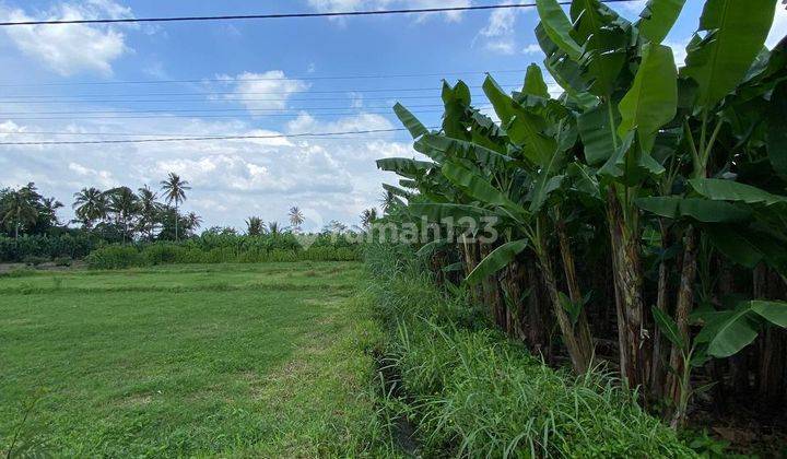 Tanah Kavling Siap Bangun 777 m2 di Pakis Malang 2