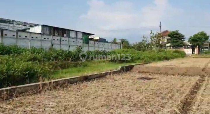 Tanah Murah Strategis di Bamban Pakis, Malang 3400m², Rp 2,5Jt m² 2