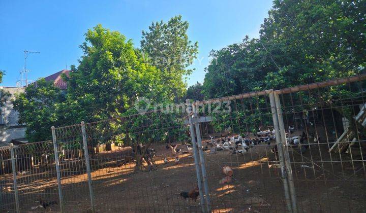 DIJUAL TANAH DI JALAN WIRABAKTI CIKEAS BOGOR     2