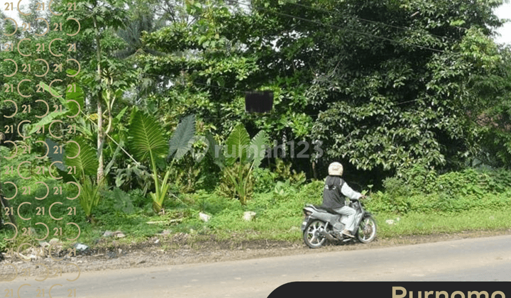 Dijual Tanah Di Kampung Sukamaju Kawalu Tasikmalaya 1