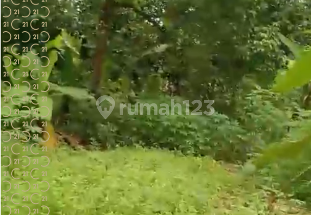 Land in Karangge Hamlet, Bandulu Village, Anyer, Serang, Banten