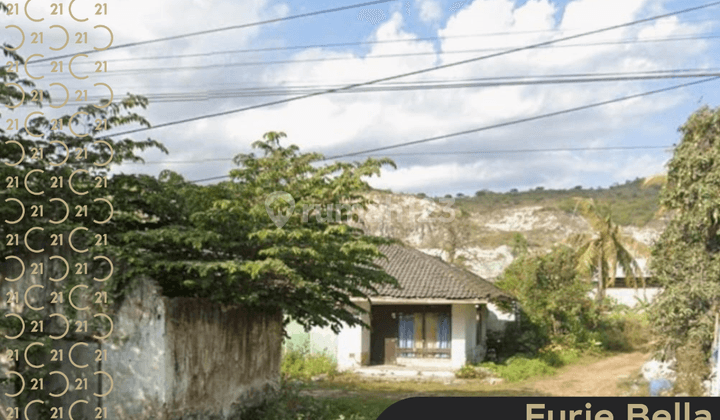 Dijual Tanah Di Grenden Puger Jember Jawa Timur 1