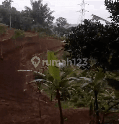 DIJUAL TANAH DI GUNUNG KRAMAT CISOLOK SUKABUMI 2