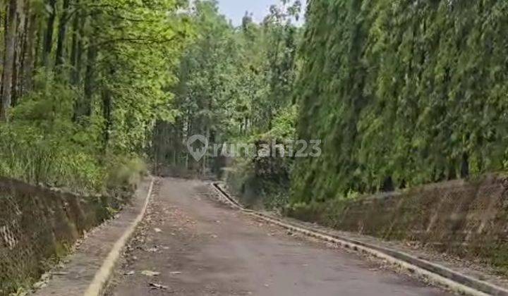 Dijual Lahan Kebun Dan Resort Di Pelabuhan Ratu Sukabumi 2