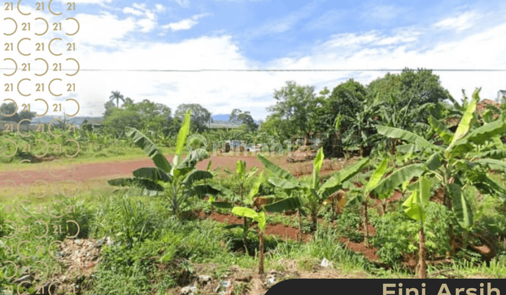 DIJUAL TANAH DI DESA SANJA CITEUREUP BOGOR       1
