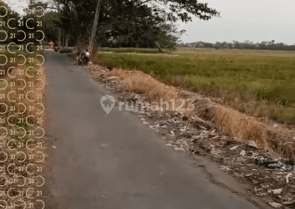 DIJUAL TANAH DI SUKA KARYA BEKASI                1