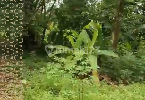 Land in Karangge Hamlet, Bandulu Village, Anyer, Banten.