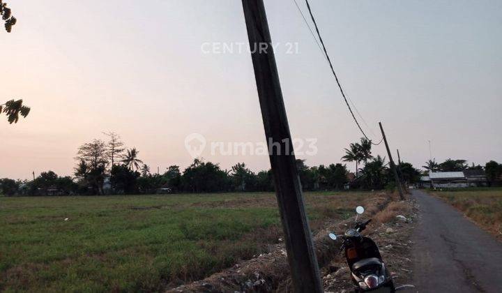 DIJUAL TANAH DI SUKA KARYA BEKASI                2