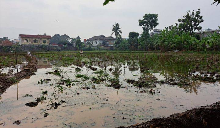 Dijual Tanah Di Jalan Raya Puncak Desa Cipayung Bogor  2