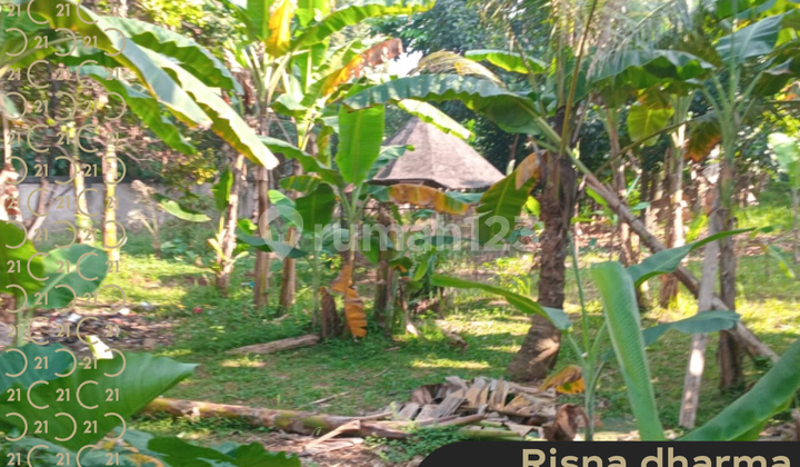 Dijual Tanah Lokasi di Perumahan Puri Cikeas Nagrak Gunung Putri Bogor Dijual Tanah Lokasi di Perumahan Puri Cikeas Nagrak Gunung Putri Bogor