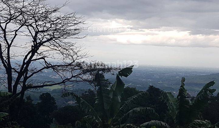 Dijual Tanah Lahan Perkebunan Di Babakan Madang Bogor 2