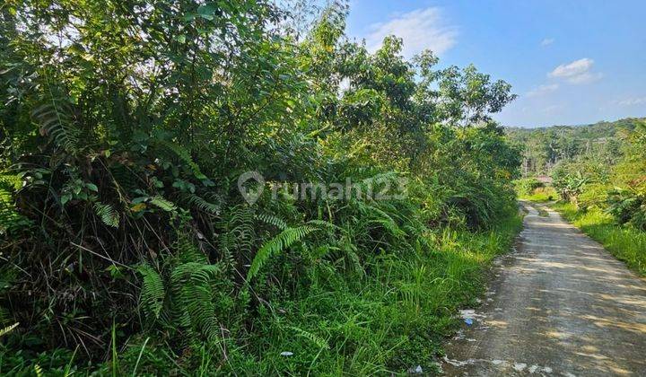 Tanah Luas 17130 M2 Di TransAs jalur 2 Di kM 8 Dalam 2