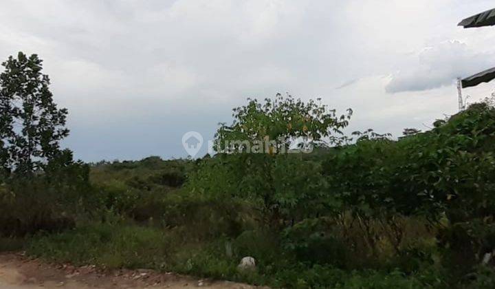 Lahan luas 29245 M2 Di Ruas Utama Jalan Provinsi 2