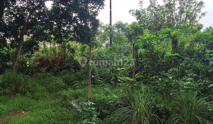 Tanah Luas 2,3 Ha Kondisi Rata Padat Di Jalan Provinsi 1