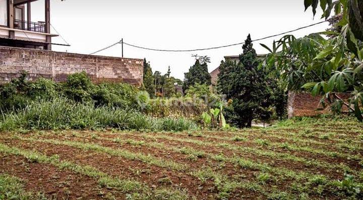 Kavling Siap Bangun Harga Jual Butuh, Cihanjuang - Lembang  1