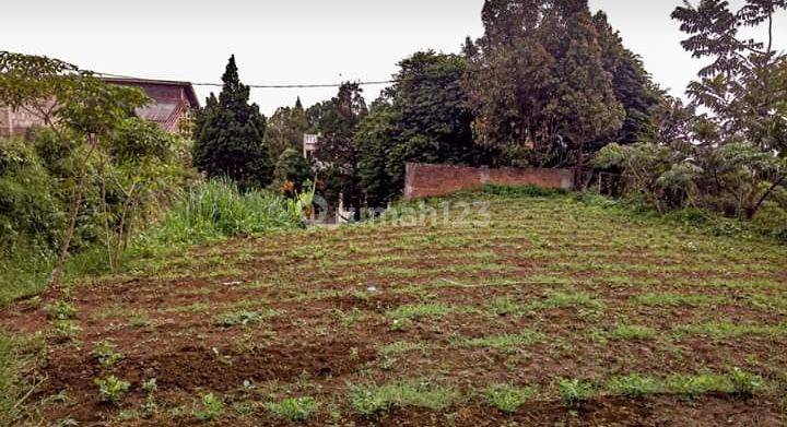 Kavling Siap Bangun Harga Jual Butuh, Cihanjuang - Lembang  2