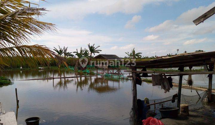 Tanah Kosong di Salembaran Tangerang Cocok Buat Usaha 9