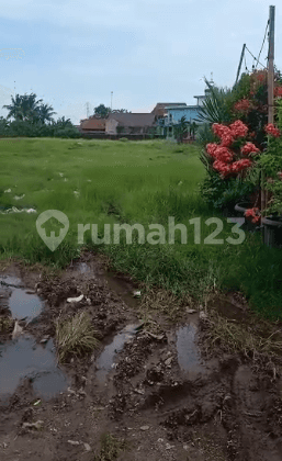 Ruko Bagus Dan Luas di Sepatan Tangerang Lokasi Strategis 1