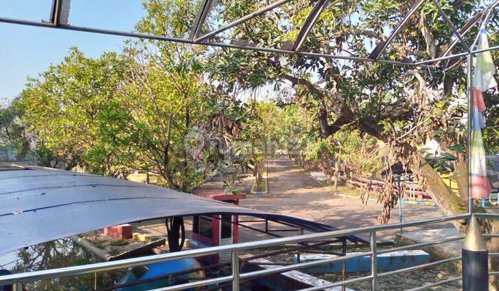 Taman Wisata Teluk Naga Kabupaten Tangerang  5