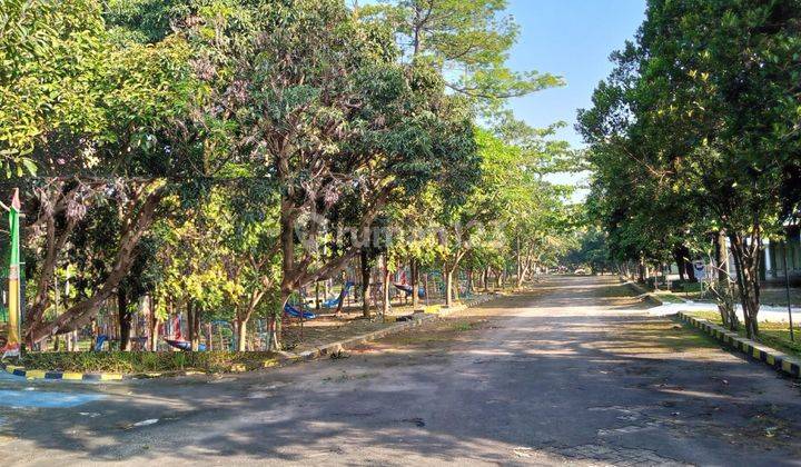 Taman Wisata Teluk Naga Kabupaten Tangerang  11