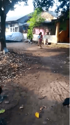 Tanah Berikut Dengan Bangunan di Jl. Rawa Bokor  1