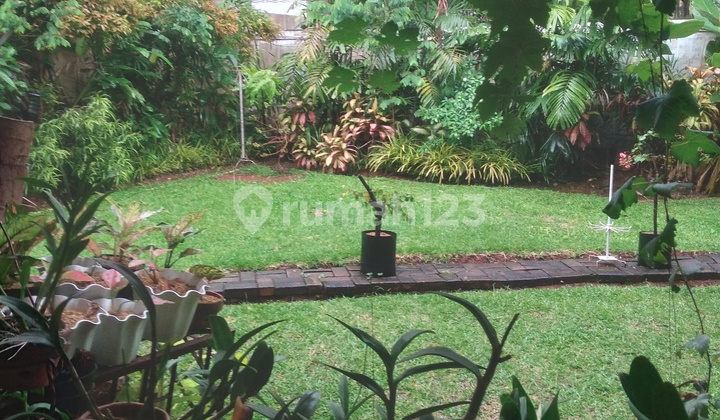 Baliview Cire deu Murah