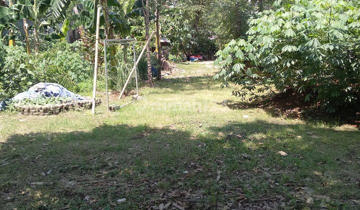 Dijual Tanah Utk Hunian Area Tenang. 1