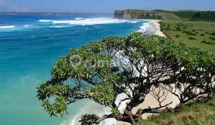 Pantai Pancing Lombok Timur Hadap Selatan 3.5Jt/M. Pantai Pancing Lombok Timur Hadap Selatan 3.5Jt/M.