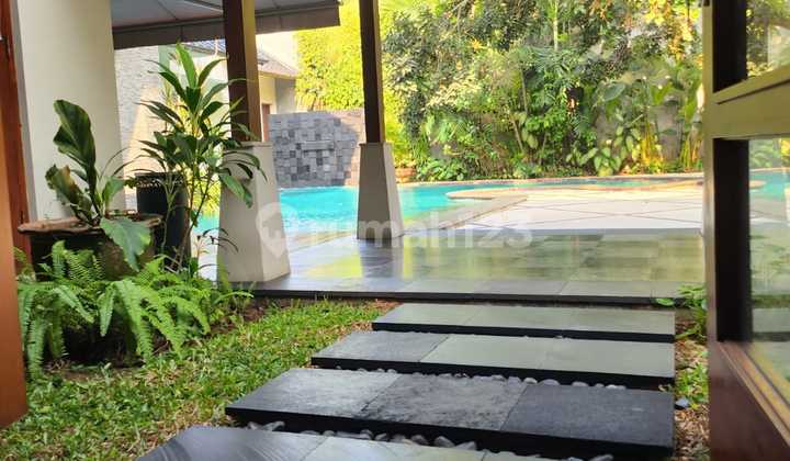 Tropical House with Large Pool. Shady, Comfortable, Cool 2