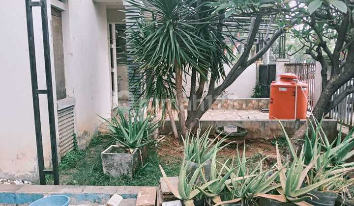 For Sale Corner House 288 M2 Facing Park 2