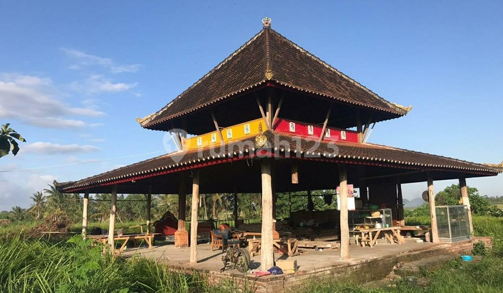 Disewakan Tanah + Joglo Kediri Tabanan Bali 3