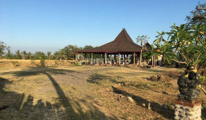 Disewakan Tanah + Joglo Kediri Tabanan Bali 1