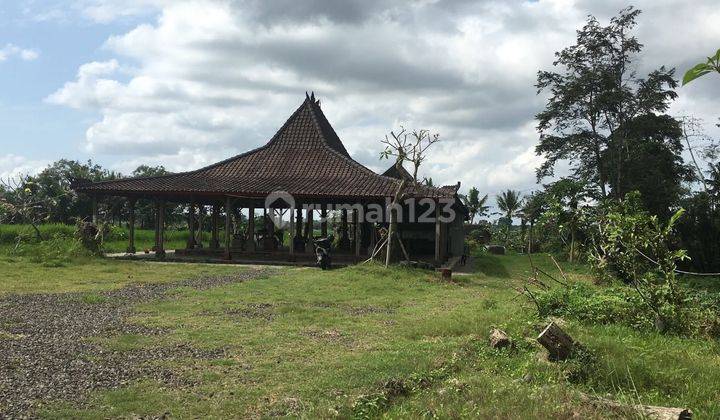 Disewakan Tanah + Joglo Kediri Tabanan Bali 6